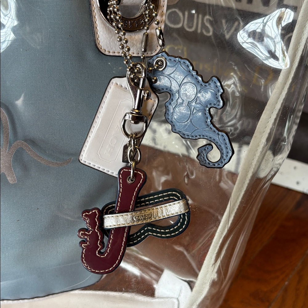 Coach Clear PVC Beach Tote with Blue Canvas Pouch RARE CHARM!!! VINTAGE - Picture 3 of 13